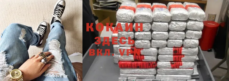 Cocaine 99%  Новоалександровск 